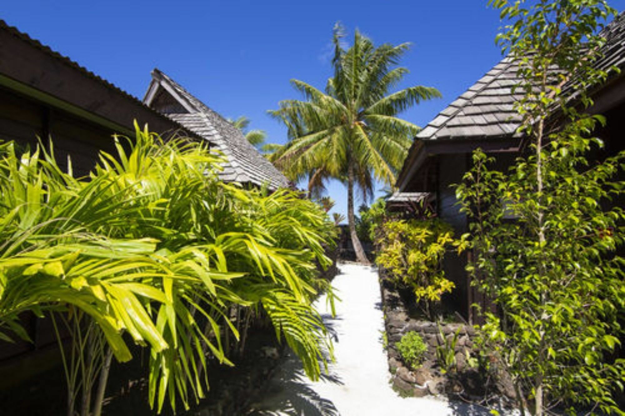 Oa Oa Lodge Bora Bora Ngoại thất bức ảnh