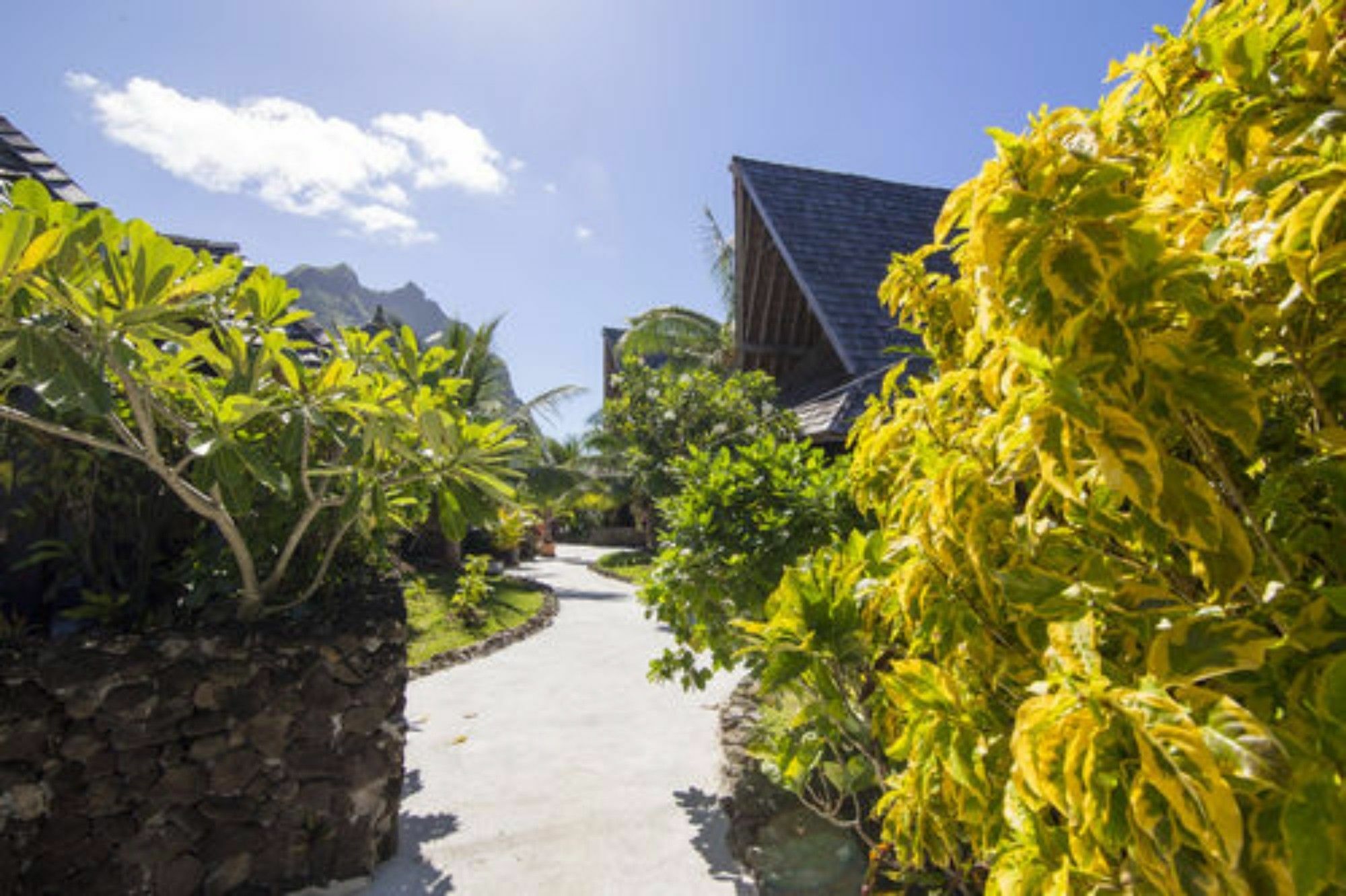 Oa Oa Lodge Bora Bora Ngoại thất bức ảnh