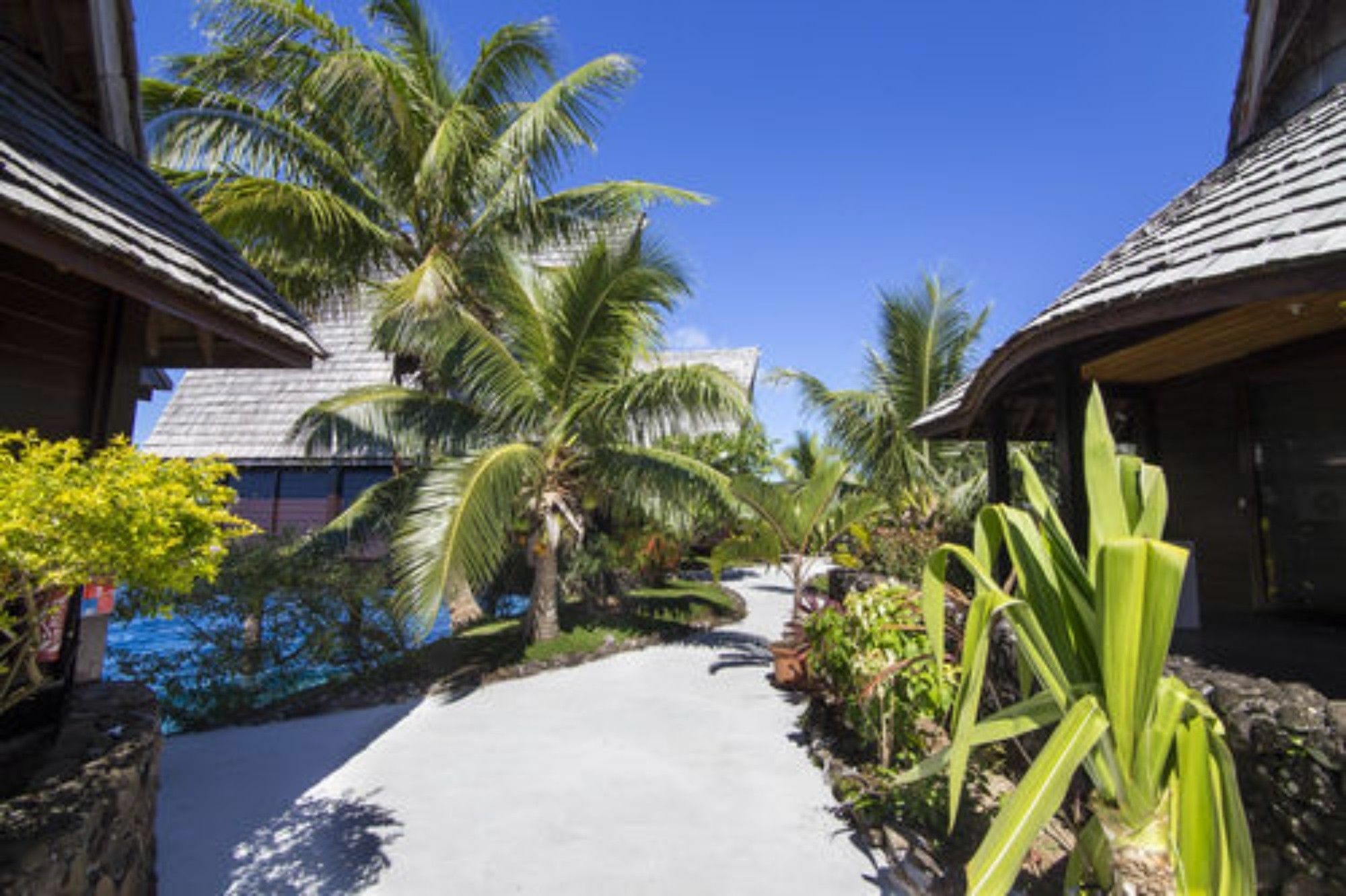 Oa Oa Lodge Bora Bora Ngoại thất bức ảnh